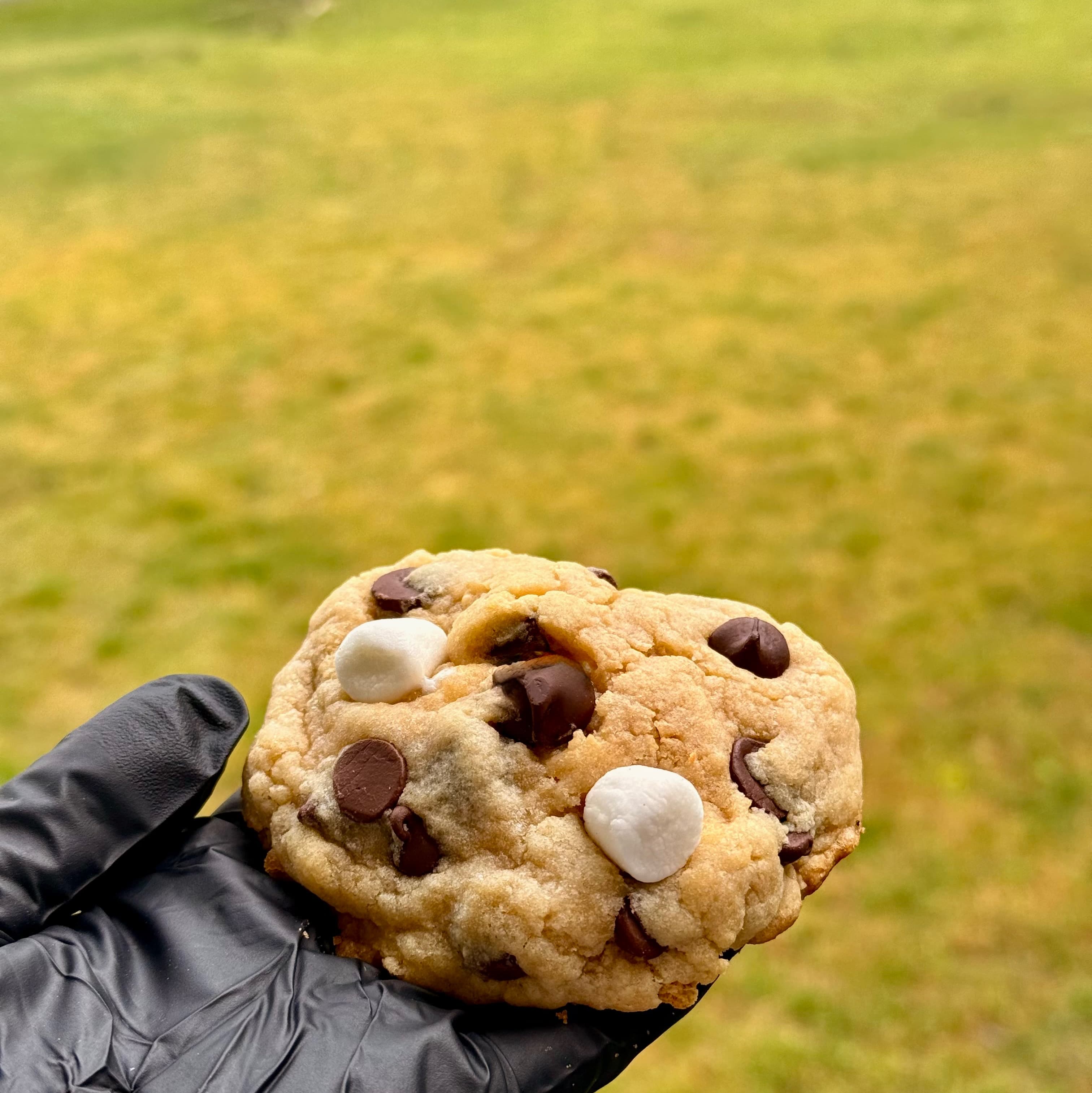 Stuffed Gooey S’more’es Cookie