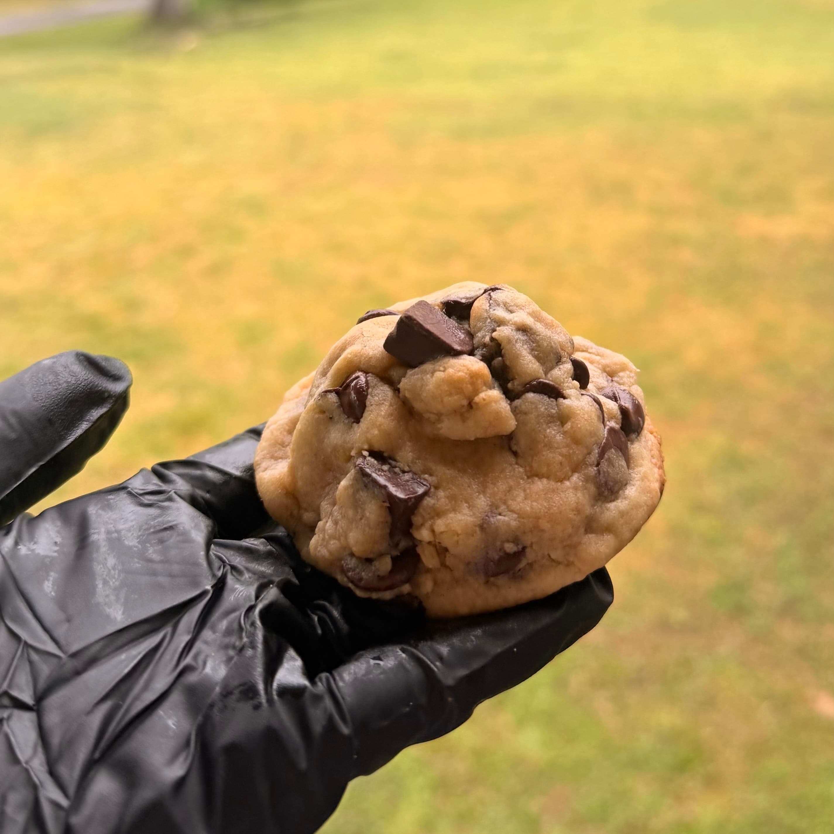 Soft Bakery Style Chocolate Chunk Cookie