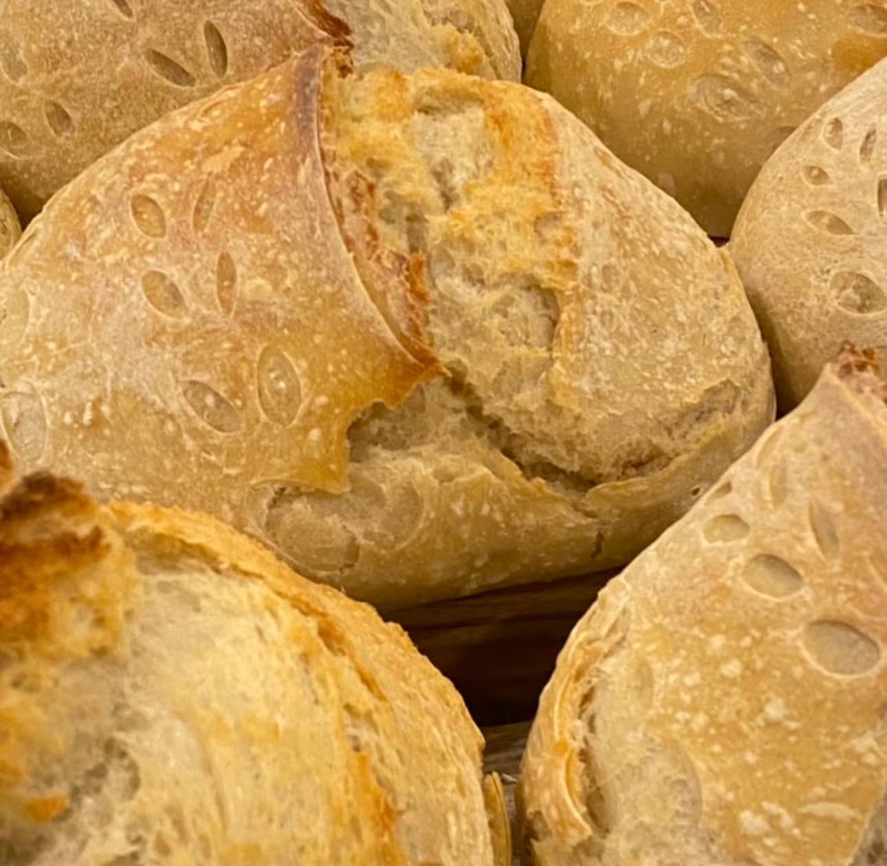 Organic Sourdough Bread Plain