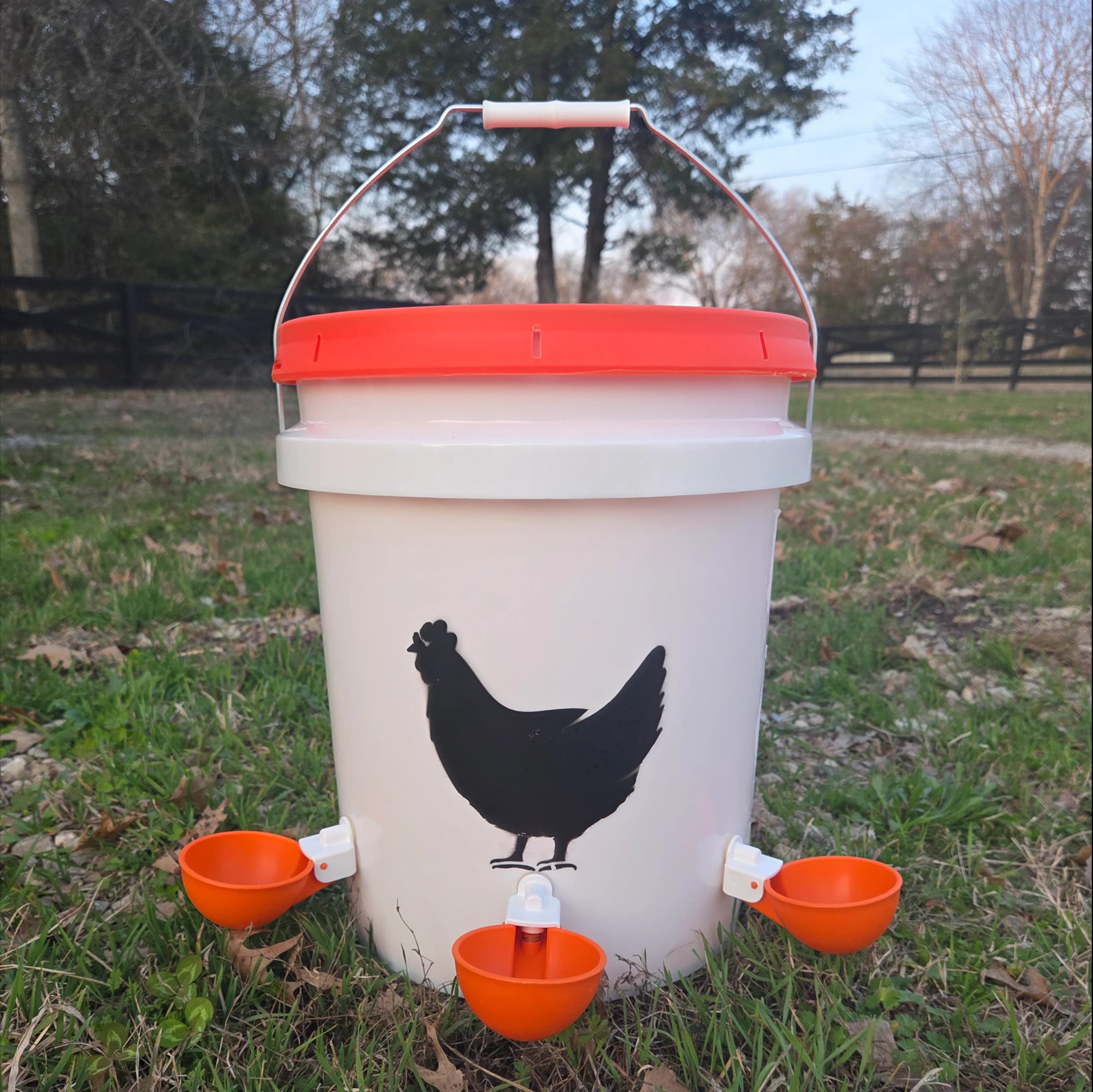 Chicken Waterer