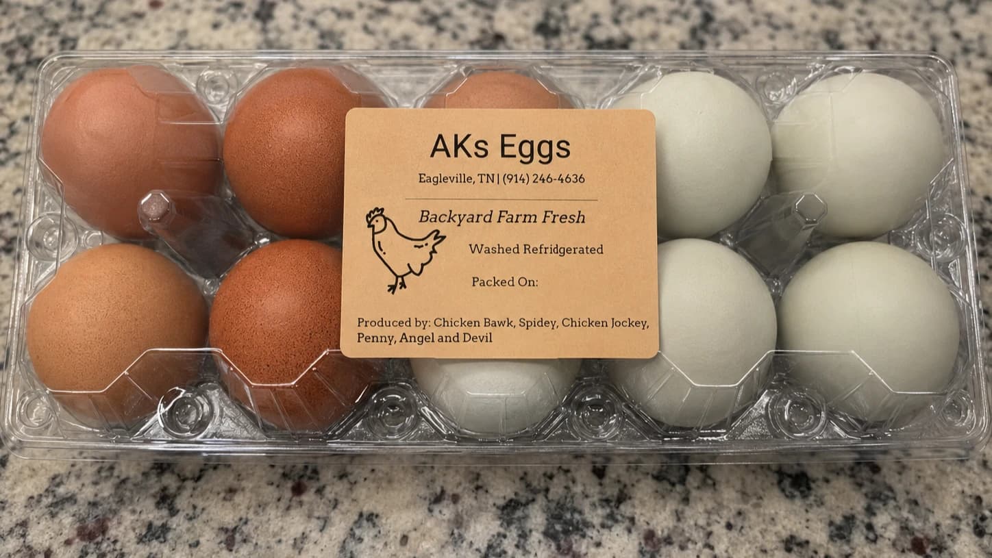 Backyard Fresh Eggs